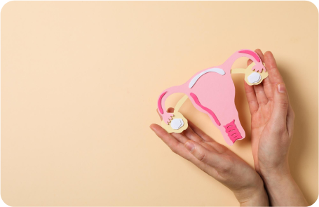 Cosmetic Gynecology